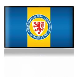 Folien für Spielekonsolen matt