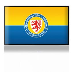 Folien für Spielekonsolen matt