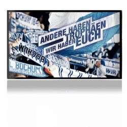 Folien für Spielekonsolen matt