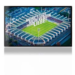 Folien für Spielekonsolen matt