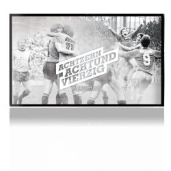 Folien für Spielekonsolen matt