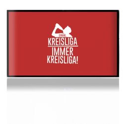 Folien für Spielekonsolen matt