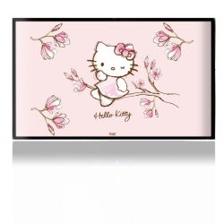 Folien für Spielekonsolen matt