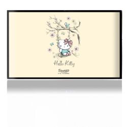 Folien für Spielekonsolen matt