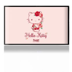 Folien für Spielekonsolen matt