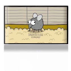 Folien für Spielekonsolen matt