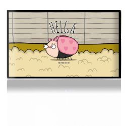 Folien für Spielekonsolen matt