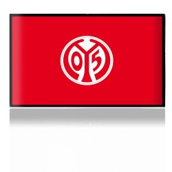 Folien für Spielekonsolen matt