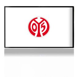 Folien für Spielekonsolen matt