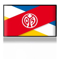 Folien für Spielekonsolen matt