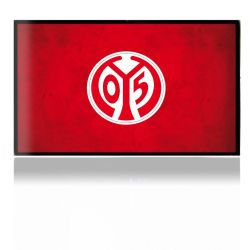 Folien für Spielekonsolen matt