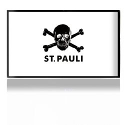 Folien für Spielekonsolen matt