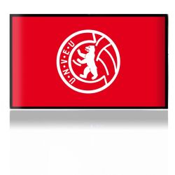 Folien für Spielekonsolen matt