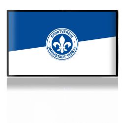 Folien für Spielekonsolen matt