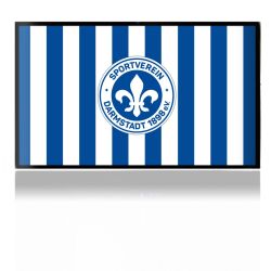 Folien für Spielekonsolen matt