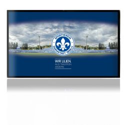 Folien für Spielekonsolen matt