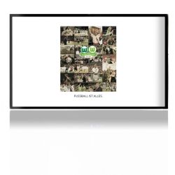 Folien für Spielekonsolen matt