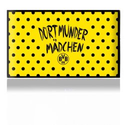 Folien für Spielekonsolen matt