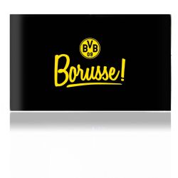 Folien für Spielekonsolen matt