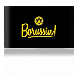 Folien für Spielekonsolen matt