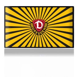 Folien für Spielekonsolen matt