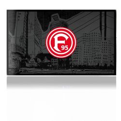 Folien für Spielekonsolen matt