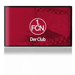 Folien für Spielekonsolen matt