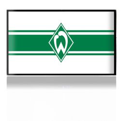 Folien für Spielekonsolen matt