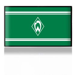 Folien für Spielekonsolen matt