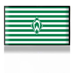 Folien für Spielekonsolen matt