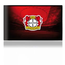 Folien für Spielekonsolen matt