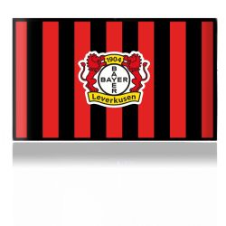 Folien für Spielekonsolen matt