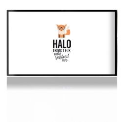 Folien für Spielekonsolen matt