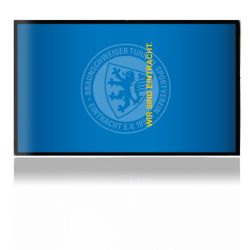 Folien für Spielekonsolen matt