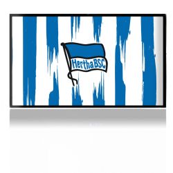 Folien für Spielekonsolen matt