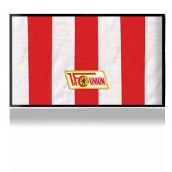 Folien für Spielekonsolen matt