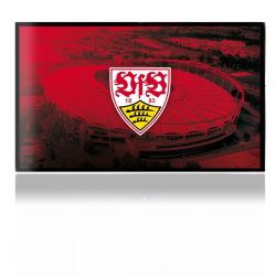 Folien für Spielekonsolen matt