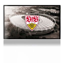 Folien für Spielekonsolen matt