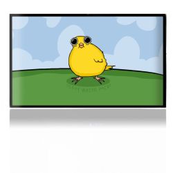 Folien für Spielekonsolen matt