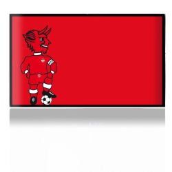 Folien für Spielekonsolen matt