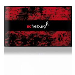 Folien für Spielekonsolen matt