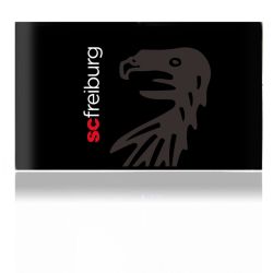 Folien für Spielekonsolen matt