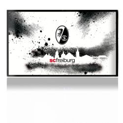 Folien für Spielekonsolen matt