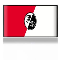 Folien für Spielekonsolen matt