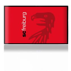 Folien für Spielekonsolen matt