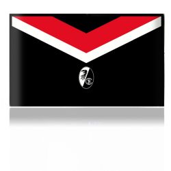 Folien für Spielekonsolen matt