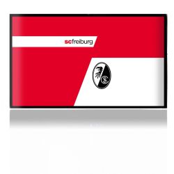 Folien für Spielekonsolen matt