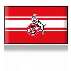 Folien für Spielekonsolen matt