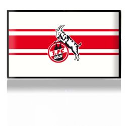 Folien für Spielekonsolen matt