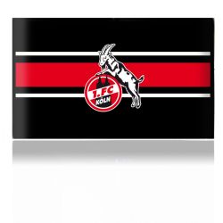 Folien für Spielekonsolen matt